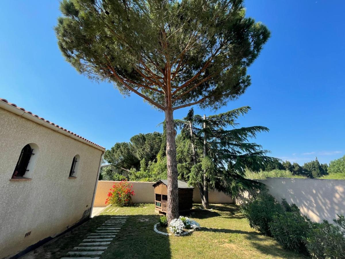Annexe Des Pins - Studio Gite Avec Piscine & Climatisation Villeneuve-lès-Béziers 외부 사진